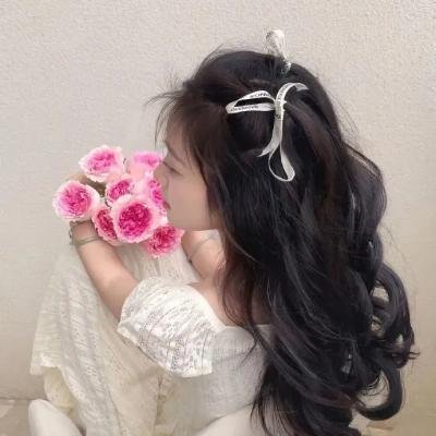 突尼斯的沙发